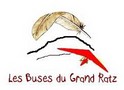 Les Buses du Grand Ratz