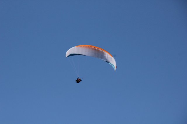 IMG_3361